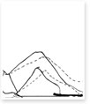 Bed-Supported Knee Bends